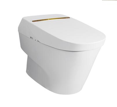 CES993WCS智能全自动电子坐便器