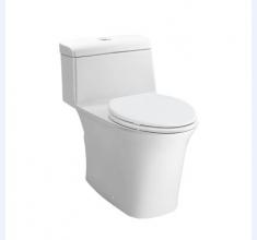 CW195B连体坐便器