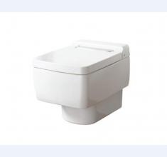 CW512YR隐藏式水箱坐便器