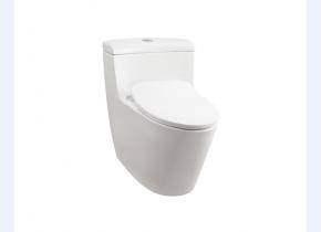 CW636EB 连体式坐便器