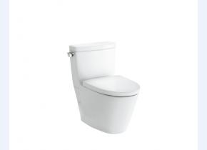 CW870REBT305 连体式坐便器