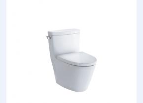 CW870BT305 连体式坐便器